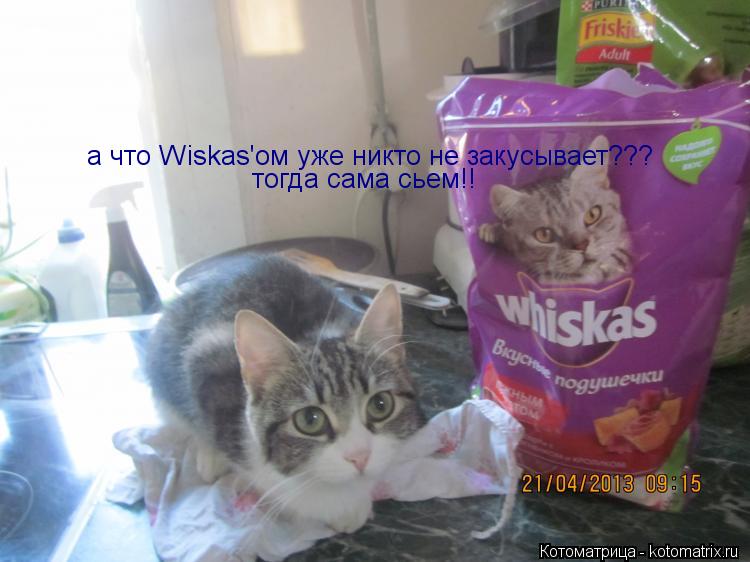 а что Wiskas'ом уже никто не закусывает??? тогда сама сьем!!... Котоматрица: а что Wiskas'ом уже никто не закусывает??? тогда сама сьем!!