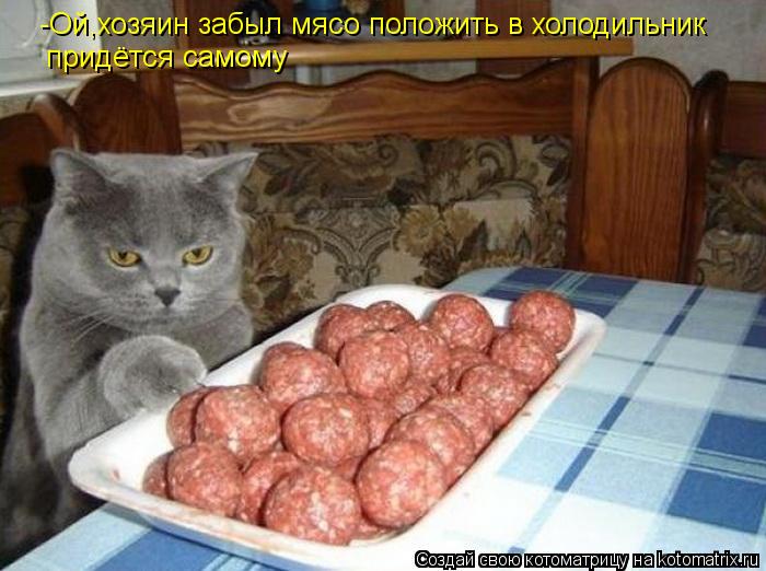 -Ой,хозяин забыл мясо положить в холодильник придётся самому... Котоматрица: -Ой,хозяин забыл мясо положить в холодильник придётся самому