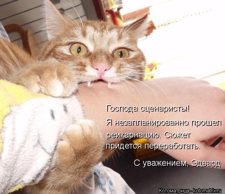 придется переработать. Господа сценаристы! Я незапланированно прошел реикарнацию. Сюжет С уважением, ... Котоматрица: придется переработать. Господа сценаристы! Я незапланированно прошел реикарнацию. Сюжет С уважением, Эдвард