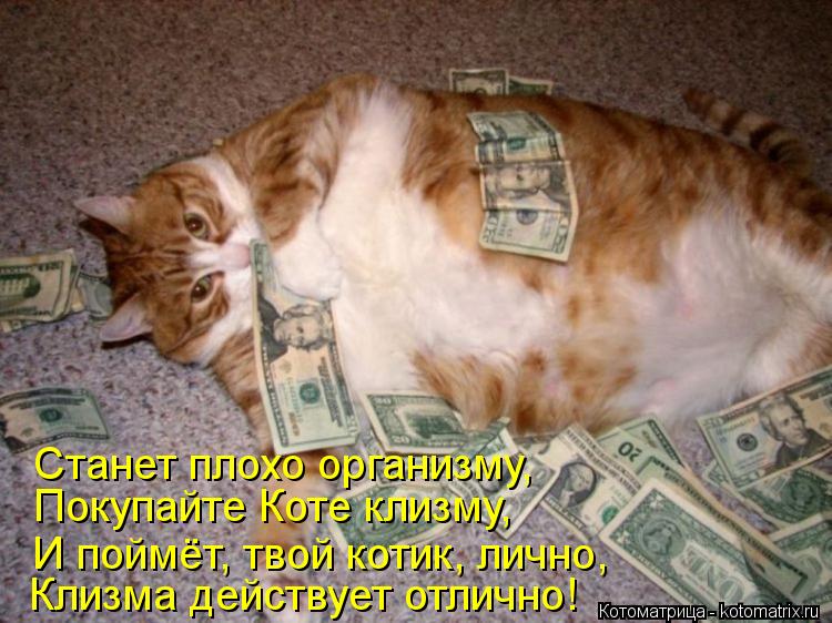 Станет плохо организму, Покупайте Коте клизму, И поймёт, твой котик, лично, Клизма действует отлично!... Котоматрица: Станет плохо организму, Покупайте Коте клизму, И поймёт, твой котик, лично, Клизма действует отлично!