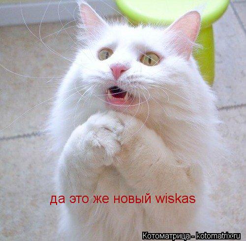 да это же новый wiskas... Котоматрица: да это же новый wiskas
