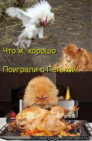 Что ж, хорошо Поиграли с Петькой....... Котоматрица: Что ж, хорошо Поиграли с Петькой....