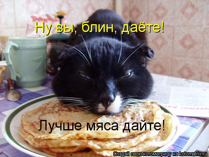 Ну вы, блин, даёте! Лучше мяса дайте!... Котоматрица: Ну вы, блин, даёте! Лучше мяса дайте!