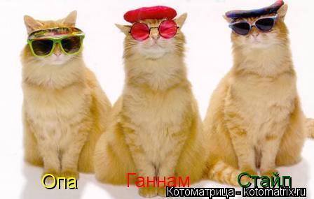 Опа Ганнам Стайл... Котоматрица: Опа Ганнам Стайл