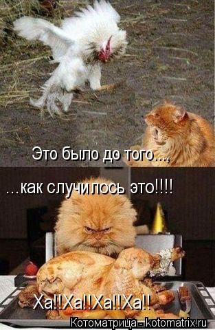 Это было до того..., ...как случилось это!!!! Ха!!Ха!!Ха!!Ха!!... Котоматрица: Это было до того..., ...как случилось это!!!! Ха!!Ха!!Ха!!Ха!!