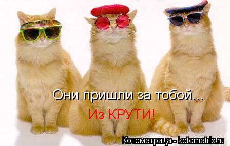 Они пришли за тобой... Из КРУТИ!... Котоматрица: Они пришли за тобой... Из КРУТИ!