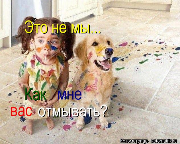мне вас отмывать? Как Это не мы...... Котоматрица: мне вас отмывать? Как Это не мы...