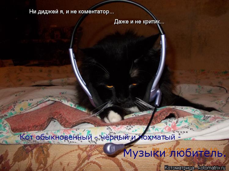 Даже и не критик... Ни диджей я, и не коментатор... Кот обыкновенный - чёрный и лохматый - Музыки люб... Котоматрица: Даже и не критик... Ни диджей я, и не коментатор... Кот обыкновенный - чёрный и лохматый - Музыки любитель.