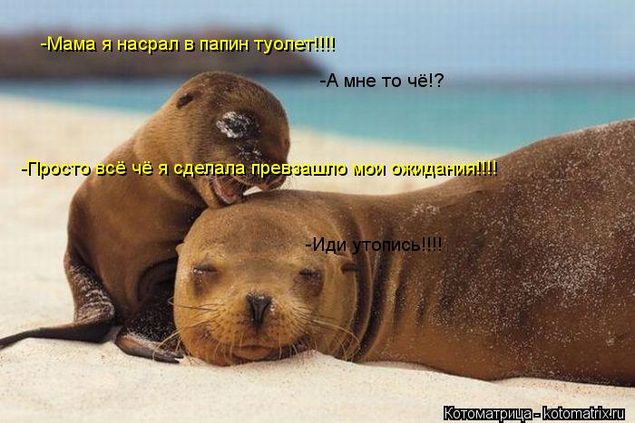 -Мама я насрал в папин туолет!!!! -А мне то чё!? -А мне то чё!? -Просто всё чё я сделала превзашло мо... Котоматрица: -Мама я насрал в папин туолет!!!! -А мне то чё!? -А мне то чё!? -Просто всё чё я сделала превзашло мои ожидания!!!! -Иди утопись!!!!
