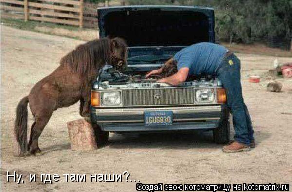 Ну, и где там наши?...... Котоматрица: Ну, и где там наши?...