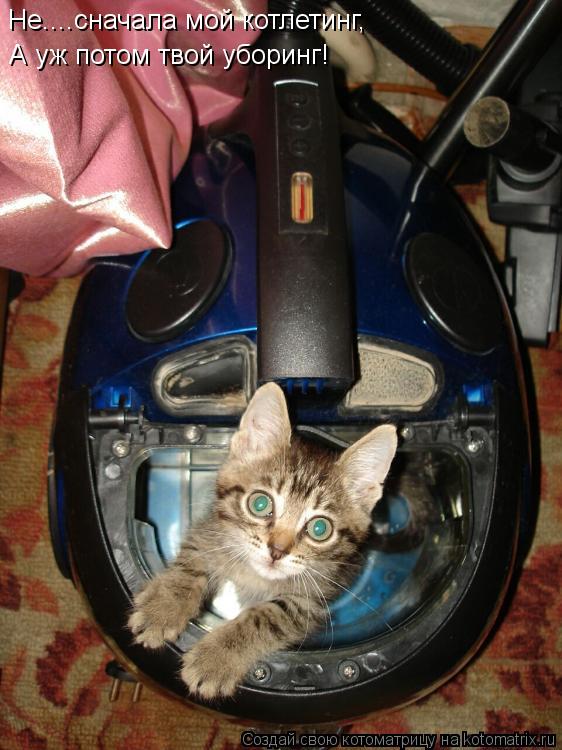 Не....сначала мой котлетинг, А уж потом твой уборинг!... Котоматрица: Не....сначала мой котлетинг, А уж потом твой уборинг!
