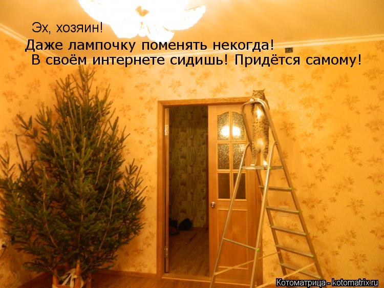 Эх, хозяин! Даже лампочку поменять некогда! В своём интернете сидишь! Придётся самому!... Котоматрица: Эх, хозяин! Даже лампочку поменять некогда! В своём интернете сидишь! Придётся самому!