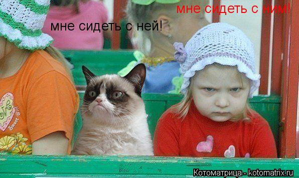 мне сидеть с ней! мне сидеть с ним!... Котоматрица: мне сидеть с ней! мне сидеть с ним!