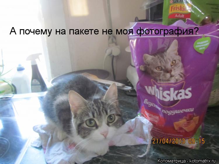 А почему на пакете не моя фотография?... Котоматрица: А почему на пакете не моя фотография?