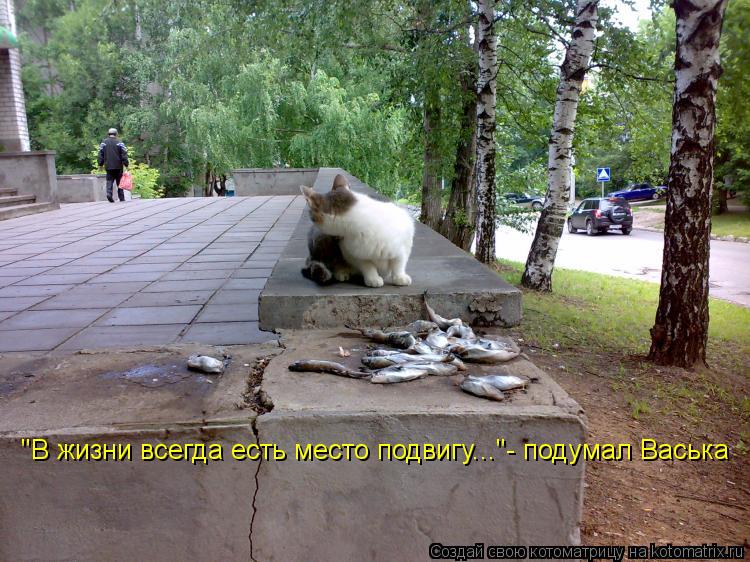 "В жизни всегда есть место подвигу..."- подумал Васька... Котоматрица: "В жизни всегда есть место подвигу..."- подумал Васька