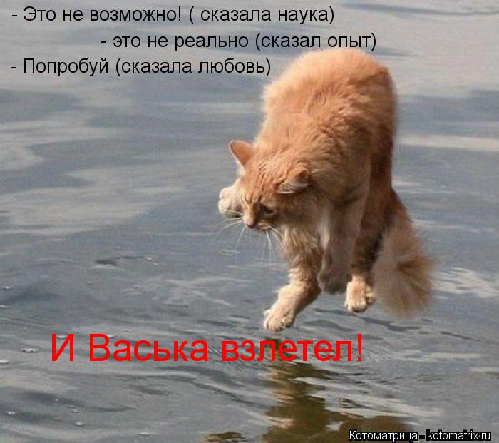 - Это не возможно! ( сказала наука) - это не реально (сказал опыт) - Попробуй (сказала любовь) И Вас... Котоматрица: - Это не возможно! ( сказала наука) - это не реально (сказал опыт) - Попробуй (сказала любовь) И Васька взлетел!