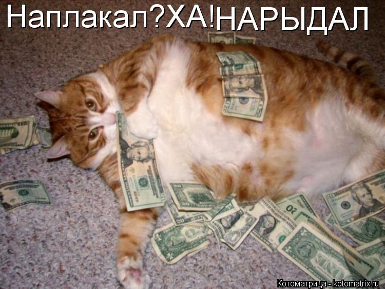 Наплакал?ХА! НАРЫДАЛ... Котоматрица: Наплакал?ХА! НАРЫДАЛ