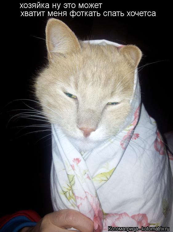 Котоматрица: хозяйка ну это может хватит меня фоткать спать хочетса