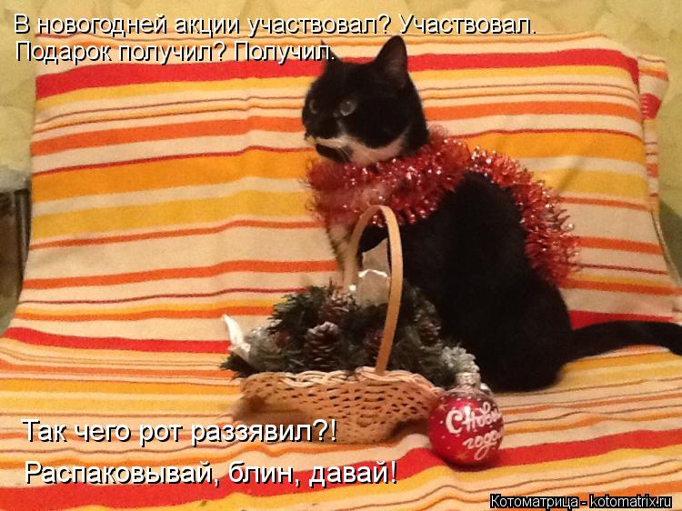В новогодней акции участвовал? Участвовал. Подарок получил? Получил. Распаковывай, блин, давай! Так ч... Котоматрица: В новогодней акции участвовал? Участвовал. Подарок получил? Получил. Распаковывай, блин, давай! Так чего рот раззявил?!