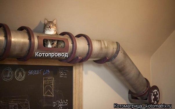 Котопровод... Котоматрица: Котопровод