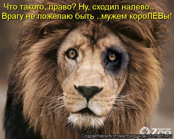 http://kotomatrix.ru/images/lolz/2013/04/22/kotomatritsa_0z.jpg