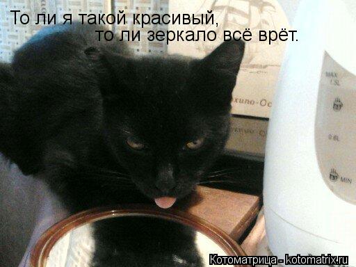 То ли я такой красивый, То ли я такой красивый, То ли я такой красивый, То ли я такой красивый, т... Котоматрица: То ли я такой красивый, То ли я такой красивый, То ли я такой красивый, То ли я такой красивый, то ли зеркало всё врёт.
