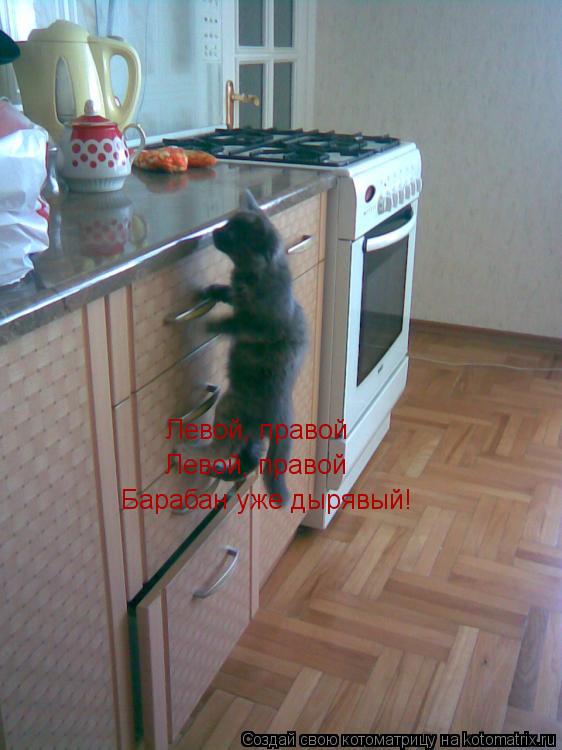 Левой, правой Левой, правой Барабан уже дырявый!... Котоматрица: Левой, правой Левой, правой Барабан уже дырявый!