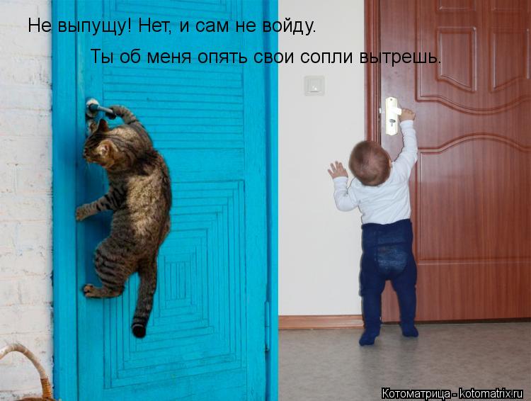 Не выпущу! Нет, и сам не войду. Ты об меня опять свои сопли вытрешь.... Котоматрица: Не выпущу! Нет, и сам не войду. Ты об меня опять свои сопли вытрешь.