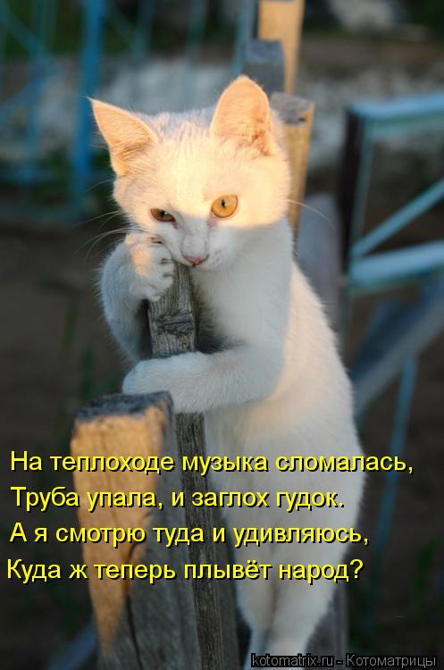 На теплоходе музыка сломалась, Труба упала, и заглох гудок. А я смотрю туда и удивляюсь, Куда ж тепер... Котоматрица: На теплоходе музыка сломалась, Труба упала, и заглох гудок. А я смотрю туда и удивляюсь, Куда ж теперь плывёт народ?