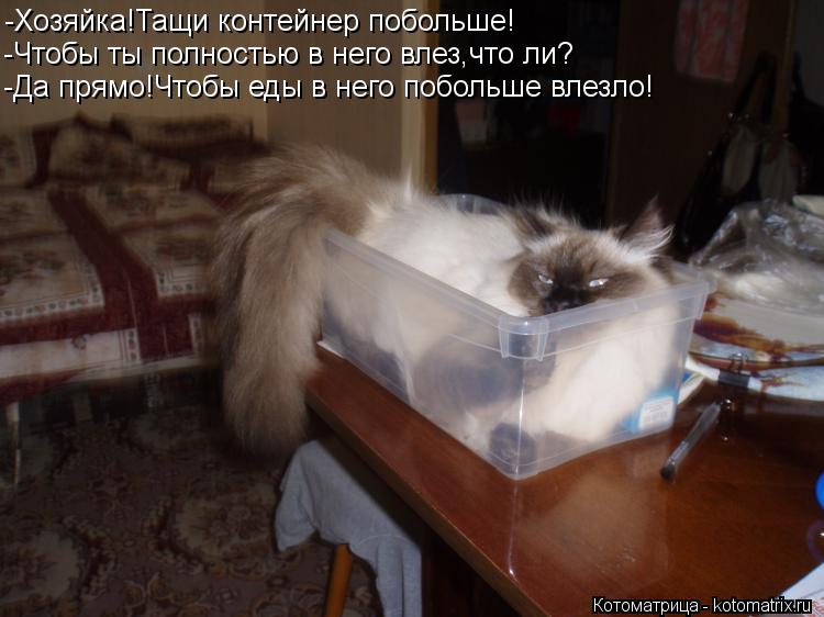 -Хозяйка!Тащи контейнер побольше! -Чтобы ты полностью в него влез,что ли? -Да прямо!Чтобы еды в него ... Котоматрица: -Хозяйка!Тащи контейнер побольше! -Чтобы ты полностью в него влез,что ли? -Да прямо!Чтобы еды в него побольше влезло!
