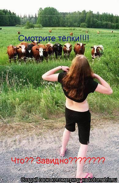 Смотрите тёлки!!!! Что?? Завидно????????... Котоматрица: Смотрите тёлки!!!! Что?? Завидно????????
