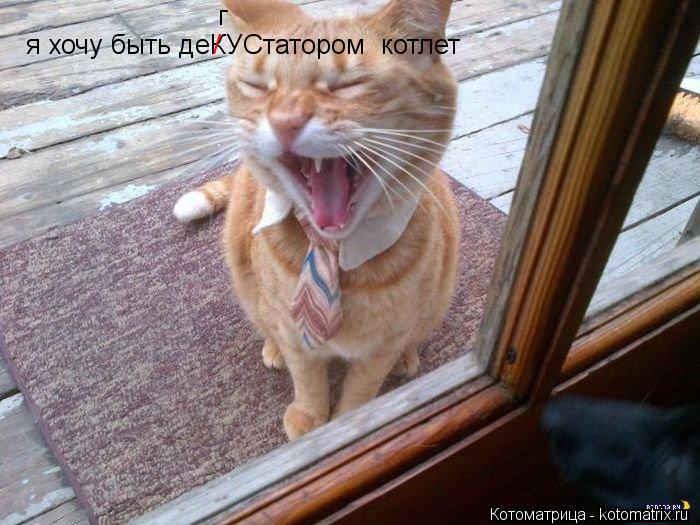 я хочу быть деКУСтатором котлет / г... Котоматрица: я хочу быть деКУСтатором котлет / г