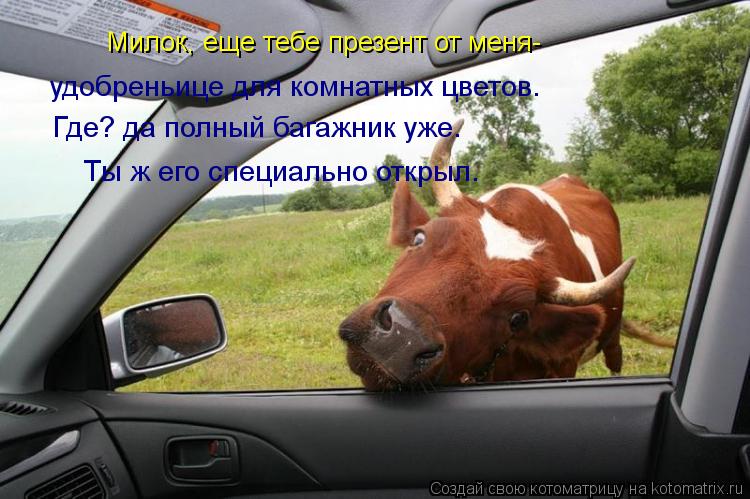 Милок, еще тебе презент от меня- удобреньице для комнатных цветов. Где? да полный багажник уже. Ты ж ... Котоматрица: Милок, еще тебе презент от меня- удобреньице для комнатных цветов. Где? да полный багажник уже. Ты ж его специально открыл.