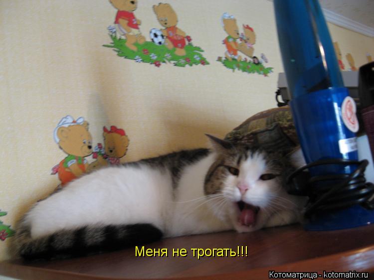 Меня не трогать!!!... Котоматрица: Меня не трогать!!!