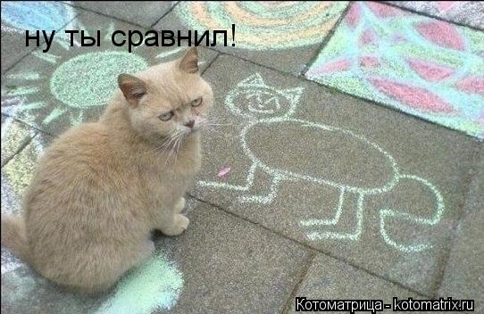 ну ты сравнил!... Котоматрица: ну ты сравнил!