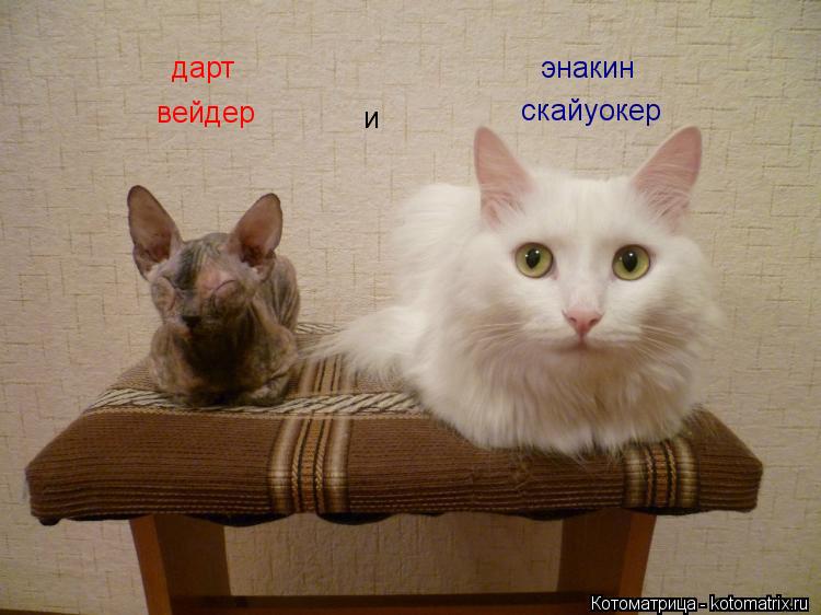 скайуокер дарт вейдер и энакин... Котоматрица: скайуокер дарт вейдер и энакин