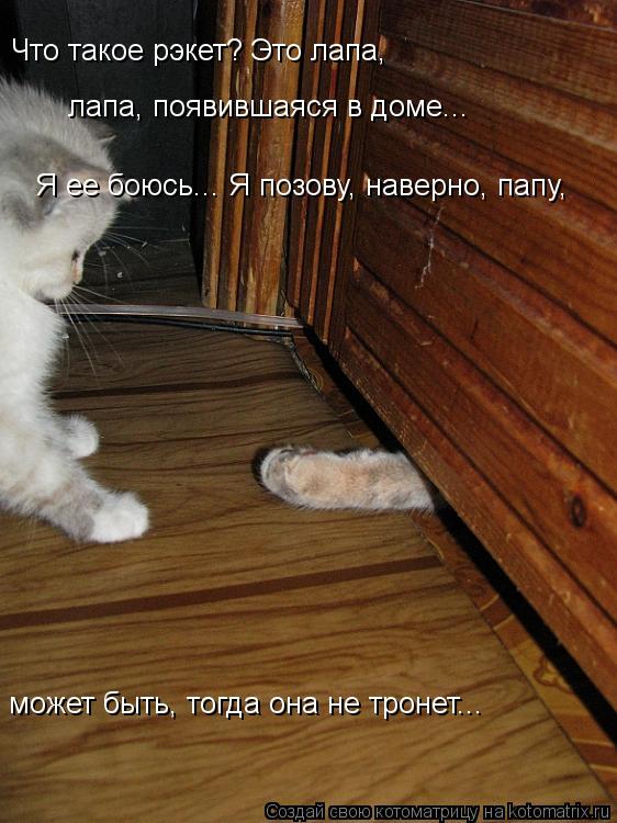 Что такое рэкет? Это лапа, лапа, появившаяся в доме... Я ее боюсь... Я позову, наверно, папу, может ... Котоматрица: Что такое рэкет? Это лапа, лапа, появившаяся в доме... Я ее боюсь... Я позову, наверно, папу, может быть, тогда она не тронет...