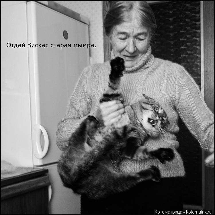 Отдай Вискас старая мымра.... Котоматрица: Отдай Вискас старая мымра.