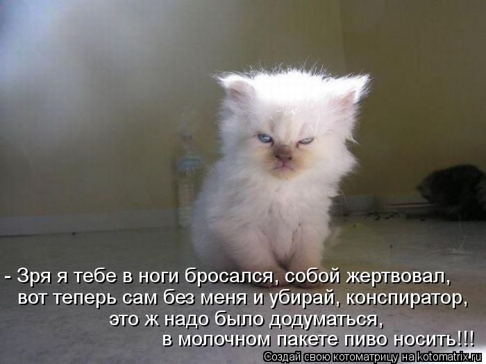 - Зря я тебе в ноги бросался, собой жертвовал, вот теперь сам без меня и убирай, конспиратор, это ж н... Котоматрица: - Зря я тебе в ноги бросался, собой жертвовал, вот теперь сам без меня и убирай, конспиратор, это ж надо было додуматься, в молочном пакете пи