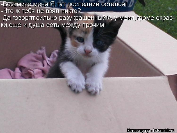 -Возьмите меня!Я тут последний остался! -Что ж тебя не взял никто? -Да говорят,сильно разукрашенный!А... Котоматрица: -Возьмите меня!Я тут последний остался! -Что ж тебя не взял никто? -Да говорят,сильно разукрашенный!А у меня,кроме окрас- ки,ещё и душа есть,ме