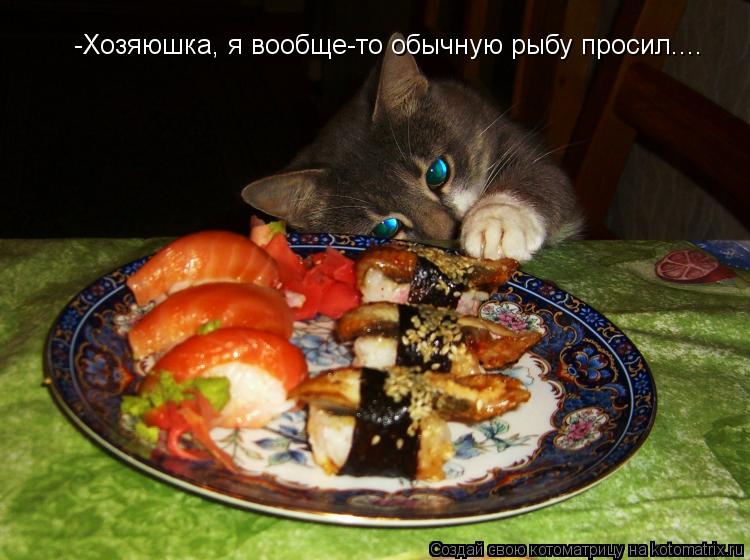 -Хозяюшка, я вообще-то обычную рыбу просил....... Котоматрица: -Хозяюшка, я вообще-то обычную рыбу просил....