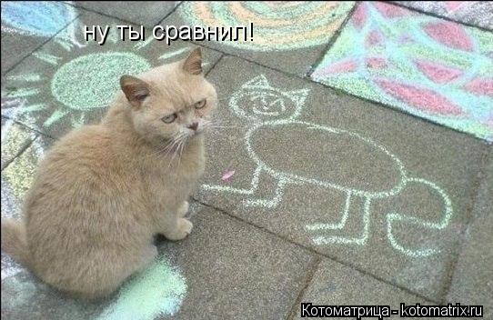 ну ты сравнил! ну ты сравнил!... Котоматрица: ну ты сравнил! ну ты сравнил!
