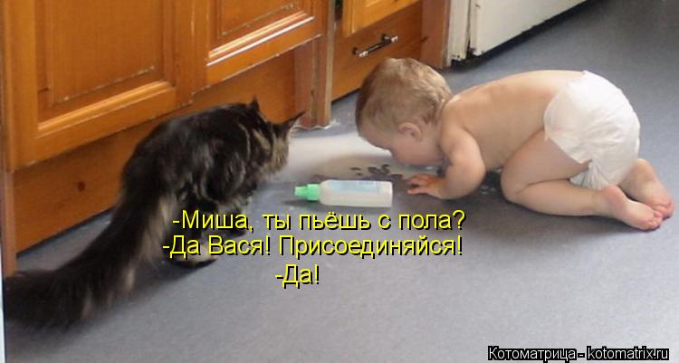 -Миша, ты пьёшь с пола? -Да Вася! Присоединяйся! -Да!... Котоматрица: -Миша, ты пьёшь с пола? -Да Вася! Присоединяйся! -Да!
