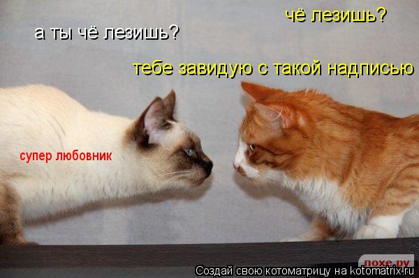 чё лезишь? а ты чё лезишь? тебе завидую с такой надписью супер любовник... Котоматрица: чё лезишь? а ты чё лезишь? тебе завидую с такой надписью супер любовник