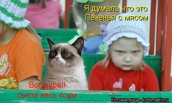 Вот дура!! Сожрала годовой запас корма Вот дура!! сьела весь корм Я думала что это Печенья с мясом... Котоматрица: Вот дура!! Сожрала годовой запас корма Вот дура!! сьела весь корм Я думала что это Печенья с мясом