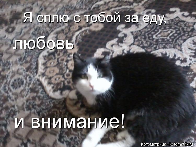 Я сплю с тобой за еду, любовь и внимание!... Котоматрица: Я сплю с тобой за еду, любовь и внимание!