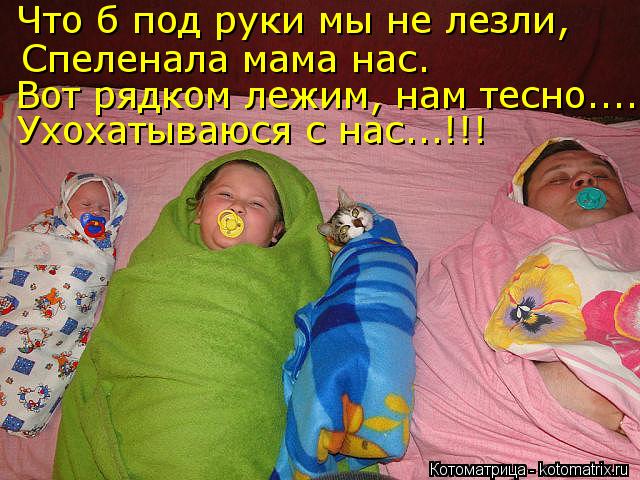 Что б под руки мы не лезли, Спеленала мама нас. Вот рядком лежим, нам тесно.... Ухохатываюся с нас...... Котоматрица: Что б под руки мы не лезли, Спеленала мама нас. Вот рядком лежим, нам тесно.... Ухохатываюся с нас...!!!