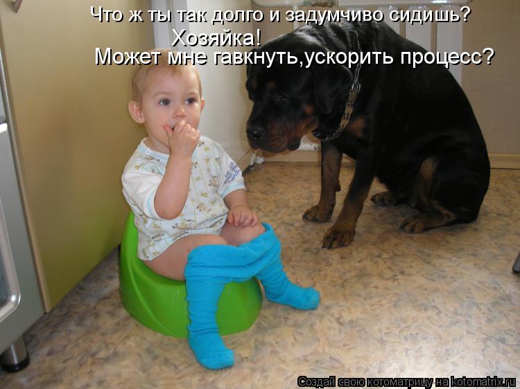 Что ж ты так долго и задумчиво сидишь? Хозяйка! Может мне гавкнуть,ускорить процесс?... Котоматрица: Что ж ты так долго и задумчиво сидишь? Хозяйка! Может мне гавкнуть,ускорить процесс?