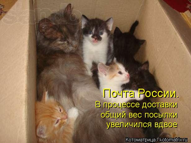 Почта России. В процессе доставки увеличился вдвое общий вес посылки... Котоматрица: Почта России. В процессе доставки увеличился вдвое общий вес посылки