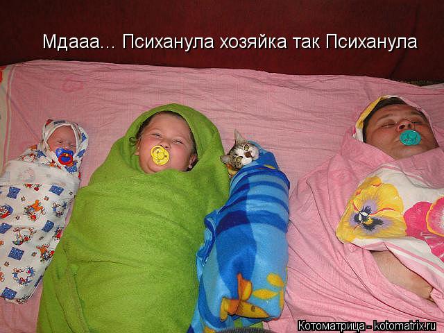 Мдааа... Психанула хозяйка так Психанула... Котоматрица: Мдааа... Психанула хозяйка так Психанула